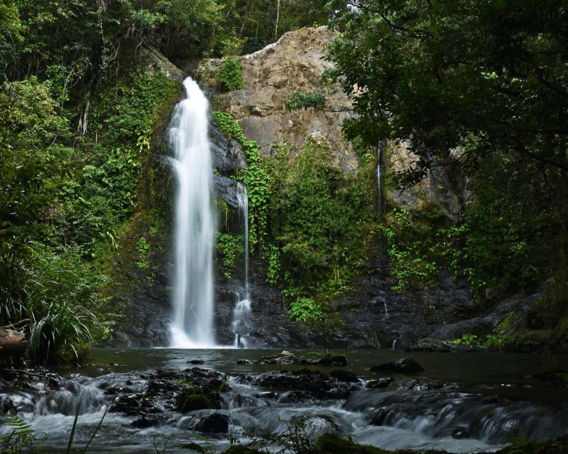 Cassowary Falls Gateway Daintree Esterno foto